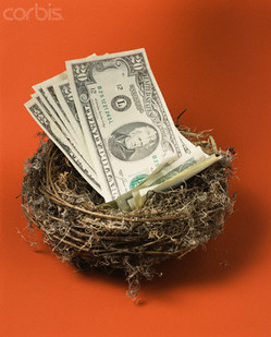 Money nest.jpg